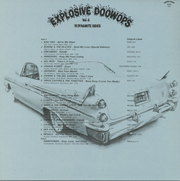 Explosive DooWops Vol.6 (LP)