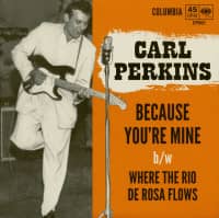 Preview: Because You're Mine - Where The Rio De Rosa Flows (7inch, 45rpm,PS, BC) Preview: Because You're Mine - Where The Rio De Rosa Flows (7inch, 45rpm,PS, BC)
