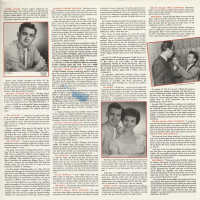 Preview: Wishful Thinking - The Challenge Years 1958-1963 (2-LP) Preview: Wishful Thinking - The Challenge Years 1958-1963 (2-LP)