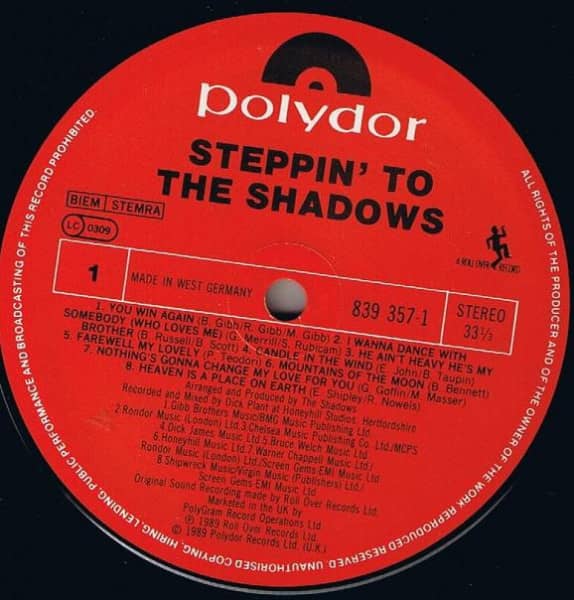 Steppin' To The Shadows (LP)