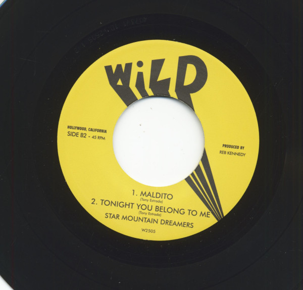 Are Trail Burning (double 7inch, 45rpm)