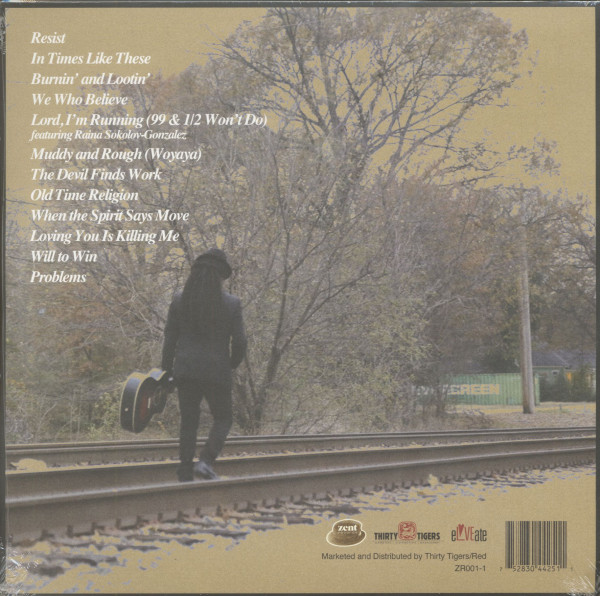 In Times Like These (LP & Download Card)