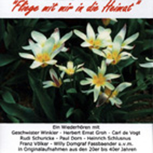 Fliege mit mir in die Heimat
