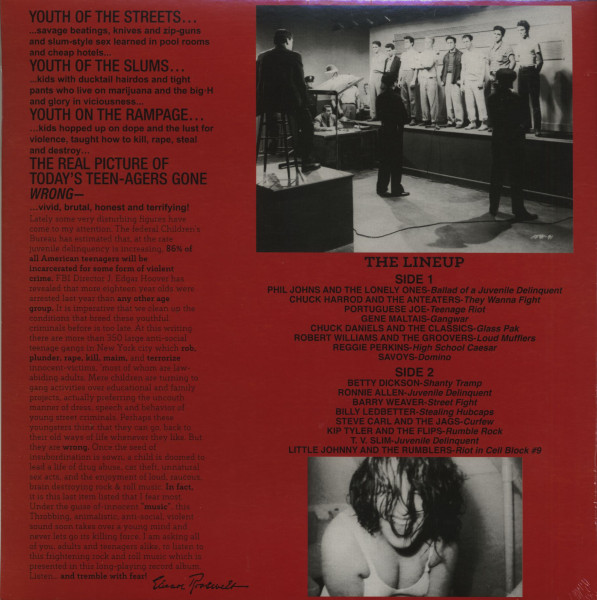 Teen-Age Riot! 50,000,000 Delinquents Can't Be Wrong!! (LP)