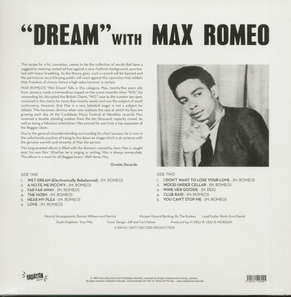 A Dream (LP)