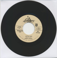 Preview: Little Bit - Dirty Dog (7inch, 45rpm) Preview: Little Bit - Dirty Dog (7inch, 45rpm)