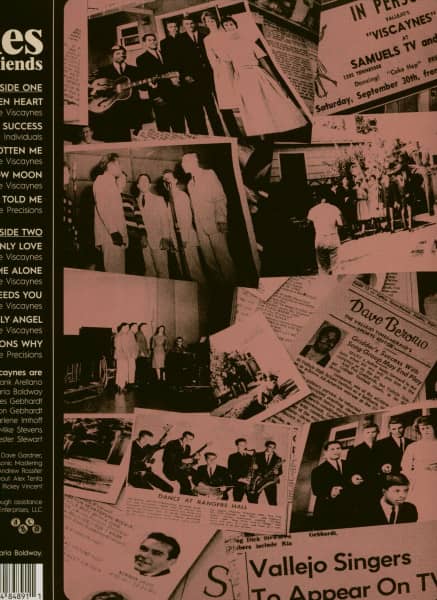 The Viscaynes & Friends (LP)
