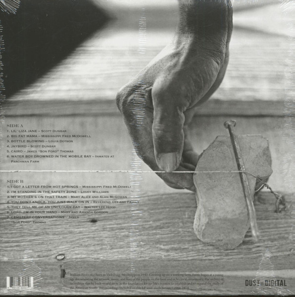 Voices Of The Mississippi (LP, 180g Vinyl)