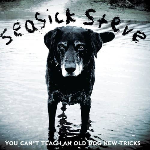 You Can't Teach An Old Dog New Tricks (CD) You Can't Teach An Old Dog New Tricks (CD)