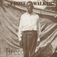 Preview: The Inventor Of The Electric Guitar Blues (LP) Preview: The Inventor Of The Electric Guitar Blues (LP)
