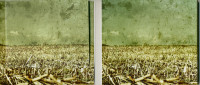 Preview: Beautiful Disaster Preview: Beautiful Disaster