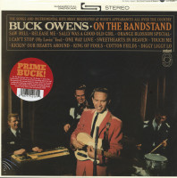 Preview: On the Bandstand (LP) Preview: On the Bandstand (LP)