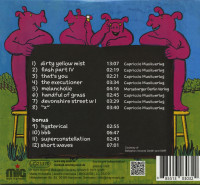 Preview: My Solid Ground (CD) Preview: My Solid Ground (CD)