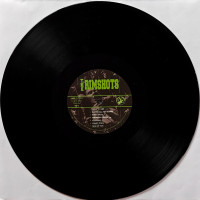Preview: The Rimshots - Hot Swingin' Hillbilly Bop (2-LP, Ltd.) Preview: The Rimshots - Hot Swingin' Hillbilly Bop (2-LP, Ltd.)