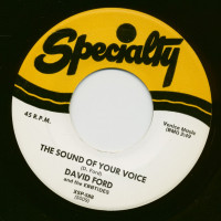 Preview: The Sound Of Your Voice - My Confession (7inch, 45rpm) Preview: The Sound Of Your Voice - My Confession (7inch, 45rpm)