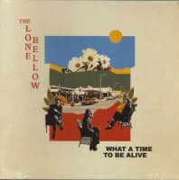 Preview: What A Time To Be Alive (LP) Preview: What A Time To Be Alive (LP)