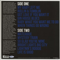 Preview: The Invisible Bluesman (LP) Preview: The Invisible Bluesman (LP)