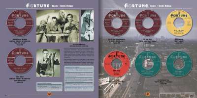 Various Box set: The Michigan Box 1950s - 1960s Oddball Labels (10