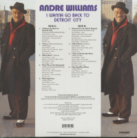 Preview: I Wanna Go Back To Detroit City (LP) Preview: I Wanna Go Back To Detroit City (LP)
