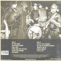 Preview: Up And Down (LP) Preview: Up And Down (LP)