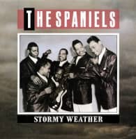 Preview: Stormy Weather (LP) Preview: Stormy Weather (LP)