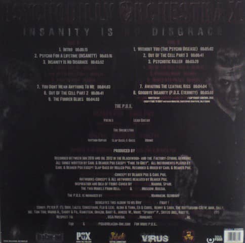 Insanity Is No Disgrace (LP)