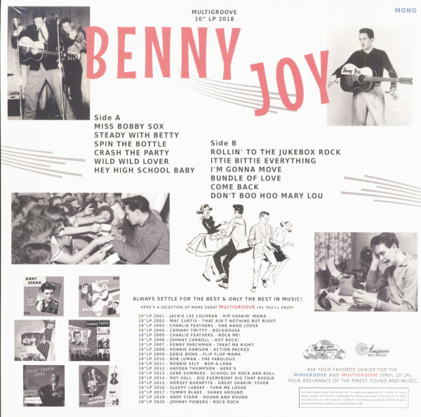 ... For Your Rocking Party! (LP, 10inch)