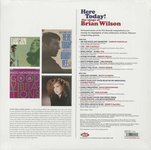Here Today - The Songs Of Brian Wilson (LP, 180g Vinyl)