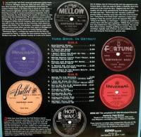 Preview: The York Bros. In Detroit (LP) Preview: The York Bros. In Detroit (LP)