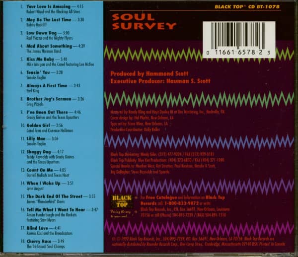 Soul Survey - A Blues Sampler (CD)