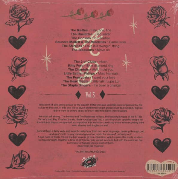 Thirteen Roses Singing In A Male World Vol.3 (LP)