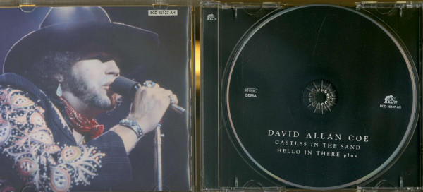 Castles In The Sand - Hello In There ... plus (CD)