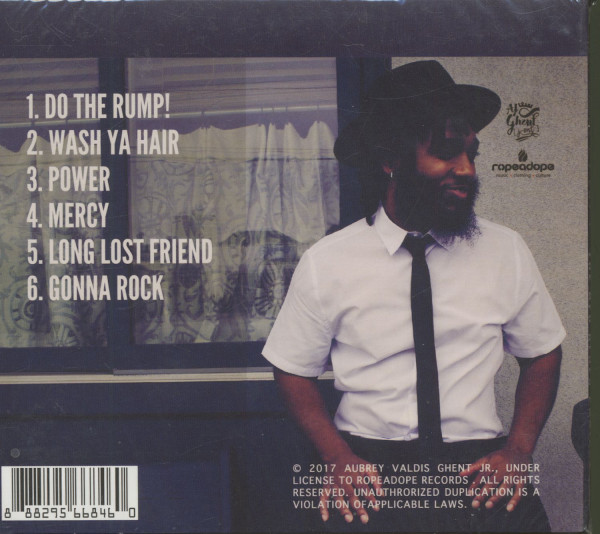 The Neo Blues Project (CD)