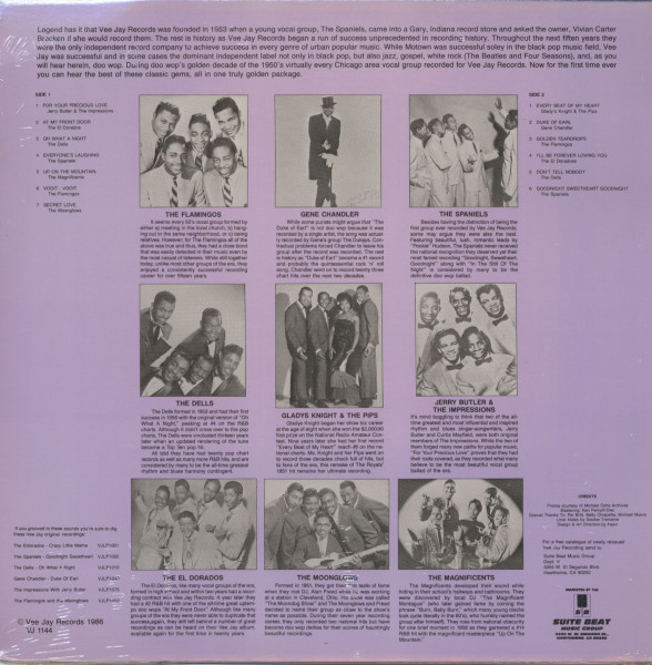 VeeJay Presents Doo Wop's Greatest Hits (LP)