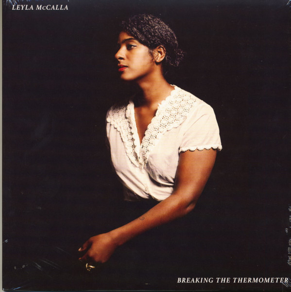 Breaking The Thermometer (LP) Breaking The Thermometer (LP)