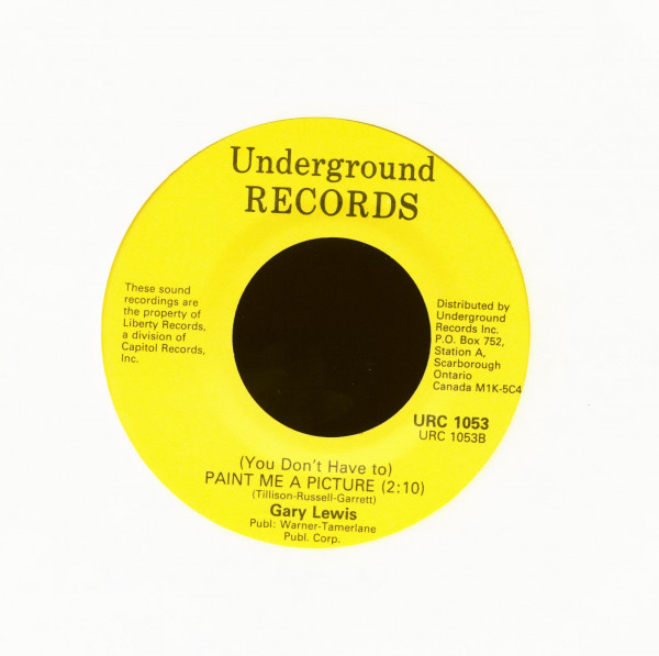 Count Me In - You Don't Have To) Paint Me A Picture (7inch, 45rpm)