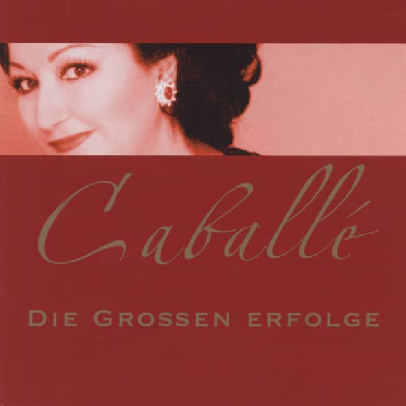 Die grossen Erfolge (2-CD) Die grossen Erfolge (2-CD)