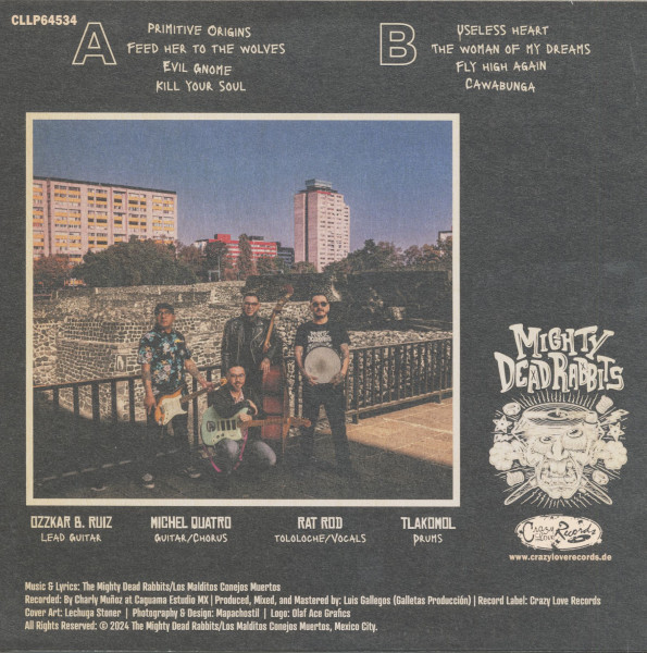 Altas Dosis De Rock N Roll (LP)