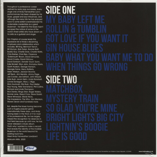 The Invisible Bluesman (LP)