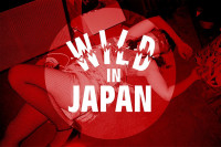 Preview: Wild In Japan (CD) Preview: Wild In Japan (CD)