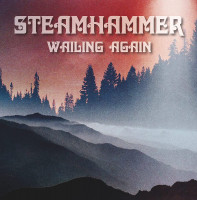 Preview: Wailing Again (LP) Preview: Wailing Again (LP)
