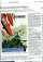 Press Archive - Battleground Korea - Songs and Sounds of America’s Forgotten War - SZ Press Archive - Battleground Korea - Songs and Sounds of America’s Forgotten War - SZ
