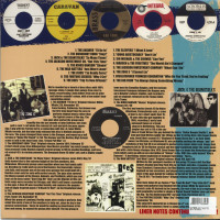 Preview: Teenage Shutdown Vol.9 - Teen Jangler Blowout! (LP) Preview: Teenage Shutdown Vol.9 - Teen Jangler Blowout! (LP)
