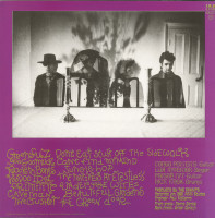 Preview: Psychedelic Jungle (LP) Preview: Psychedelic Jungle (LP)