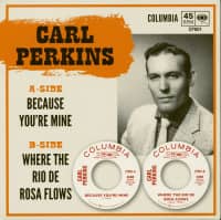 Preview: Because You're Mine - Where The Rio De Rosa Flows (7inch, 45rpm,PS, BC) Preview: Because You're Mine - Where The Rio De Rosa Flows (7inch, 45rpm,PS, BC)
