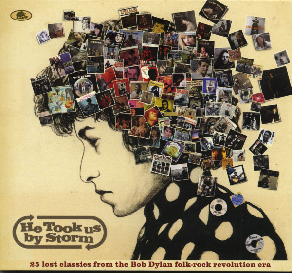 He Took Us By Storm - 25 Lost Classics from the Bob Dylan Folk Rock Revolution Era (CD)