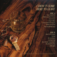 Preview: I Didn't Come Here To Leave (LP, colored Vinyl) Preview: I Didn't Come Here To Leave (LP, colored Vinyl)