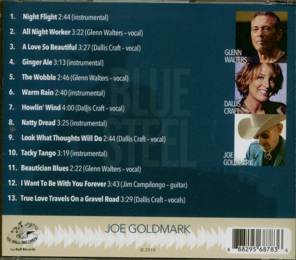 Blue Steel - Hot Instrumentals Cool Guest Vocals! (CD)
