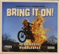 Preview: Bring It On! - Ten Jaw Dropping Tunes For Drinking & Dancing (CD) Preview: Bring It On! - Ten Jaw Dropping Tunes For Drinking & Dancing (CD)