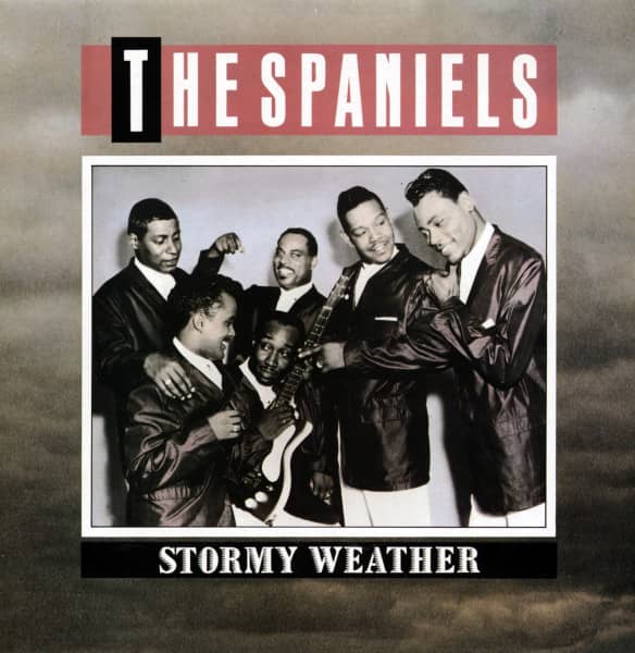 Stormy Weather (LP) Stormy Weather (LP)